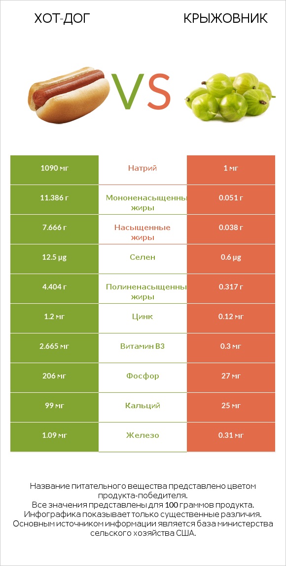 Хот-дог vs Крыжовник infographic