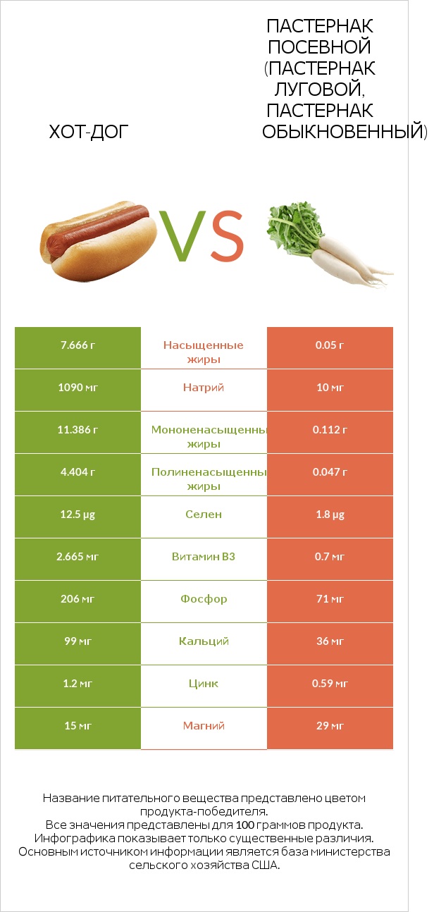 Хот-дог vs Пастернак посевной (Пастернак луговой, Пастернак обыкновенный) infographic