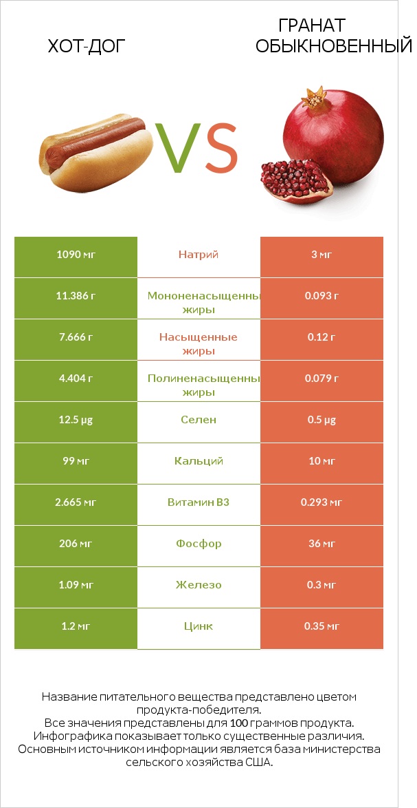 Хот-дог vs Гранат обыкновенный infographic