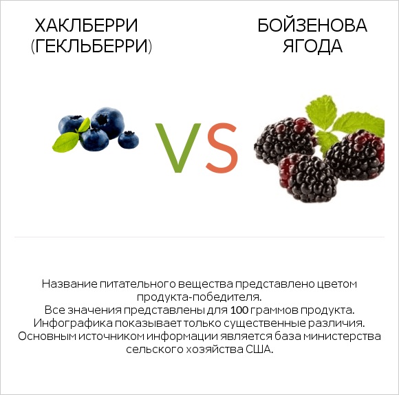 Хаклберри (Гекльберри) vs Бойзенова ягода infographic