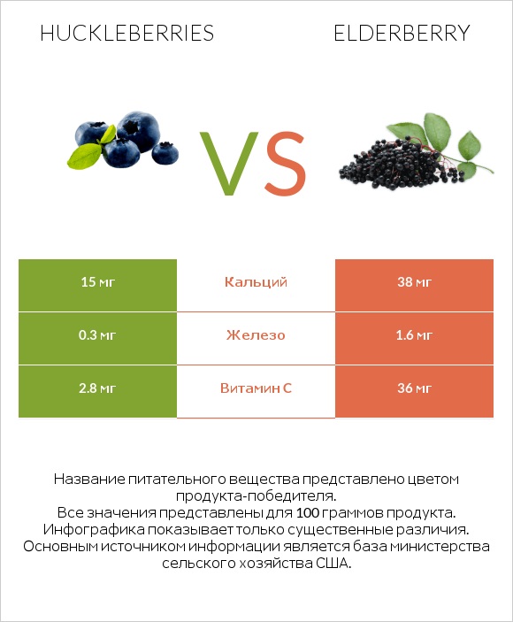Huckleberries vs Elderberry infographic