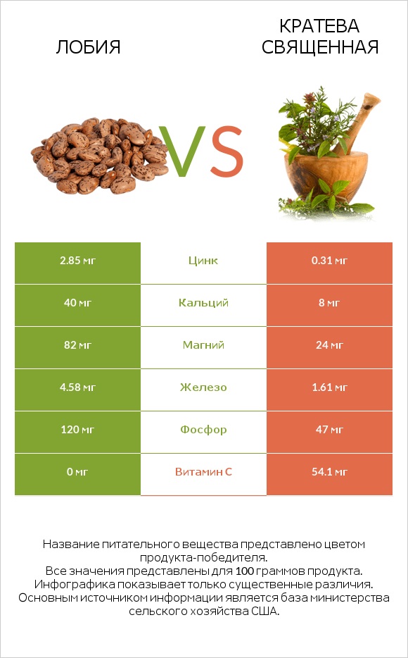 Лобия vs Кратева священная infographic