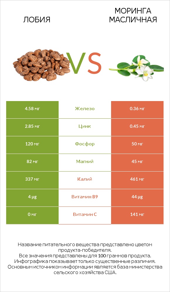 Лобия vs Моринга масличная infographic