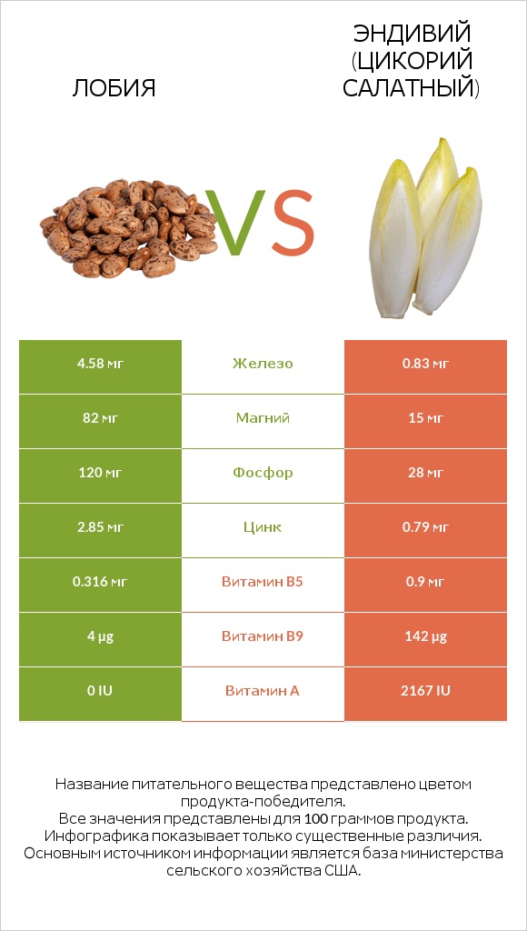 Лобия vs Эндивий (Цикорий салатный)  infographic