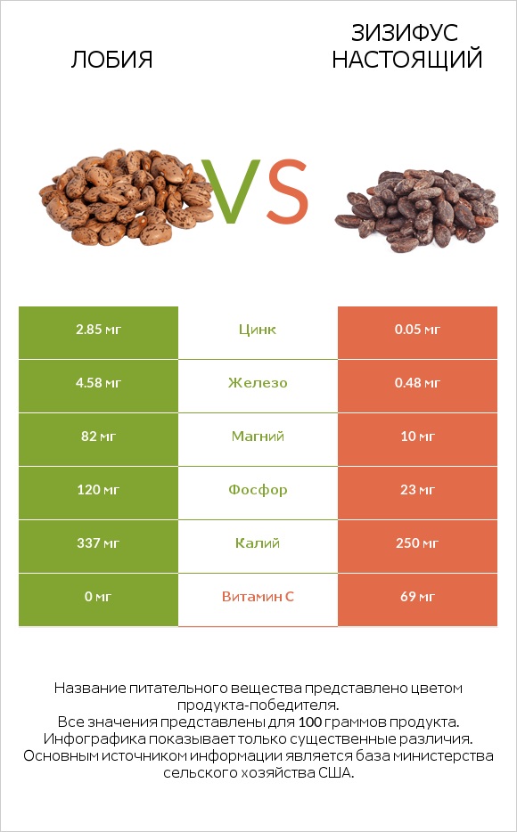 Лобия vs Зизифус настоящий infographic