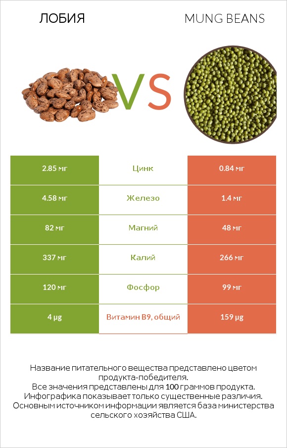 Лобия vs Mung beans infographic