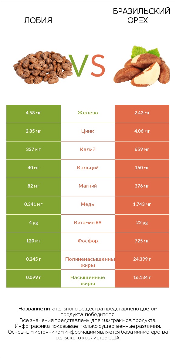 Лобия vs Бразильский орех infographic