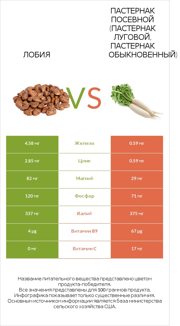 Лобия vs Пастернак посевной (Пастернак луговой, Пастернак обыкновенный) infographic