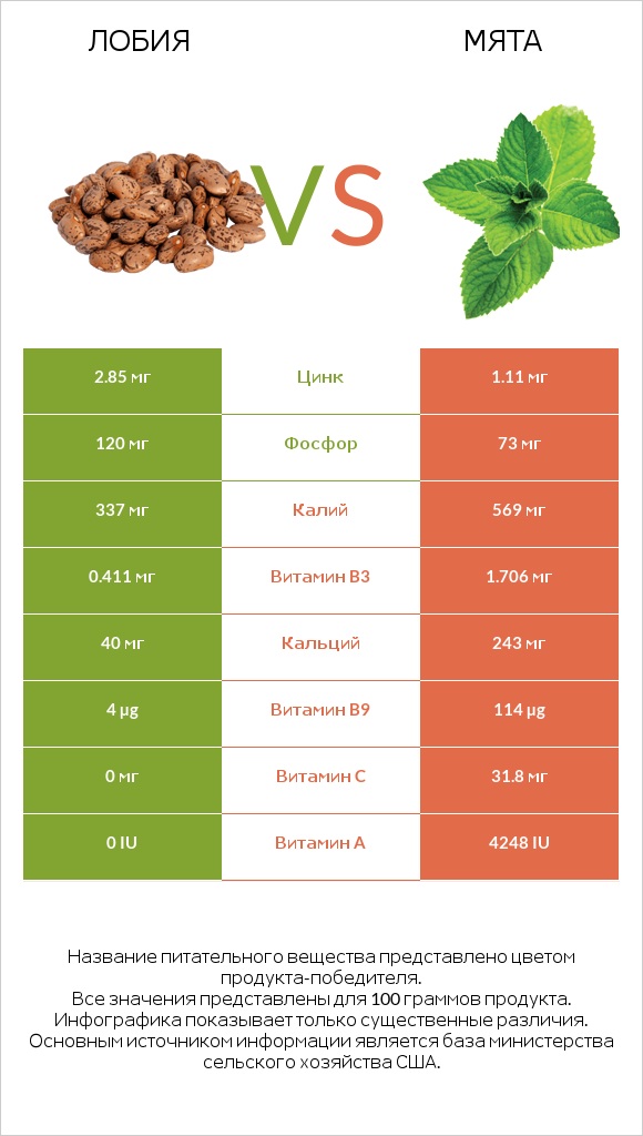 Лобия vs Мята infographic