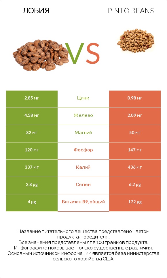 Лобия vs Pinto beans infographic