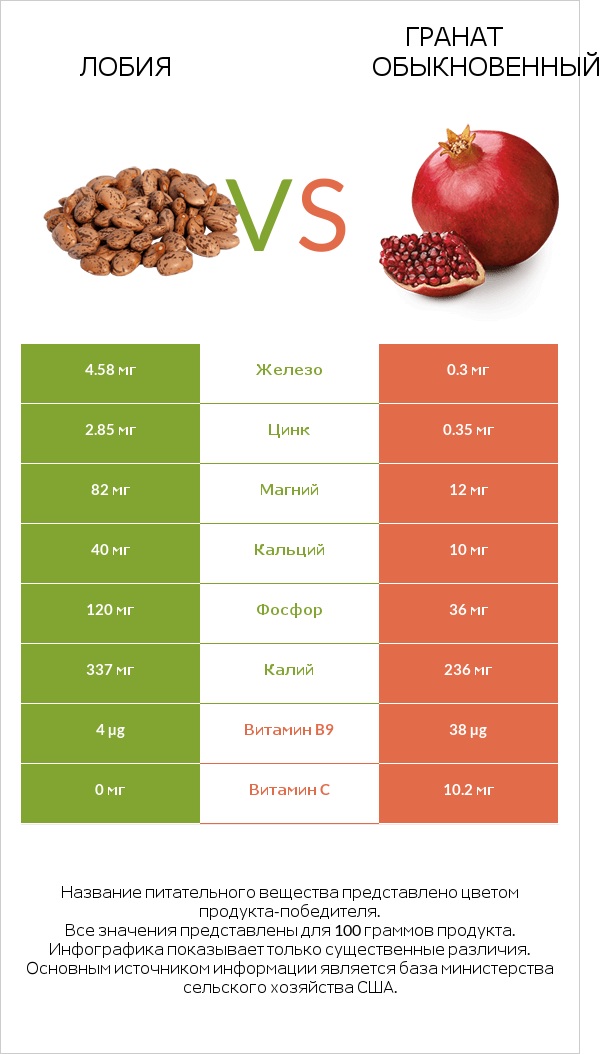 Лобия vs Гранат обыкновенный infographic