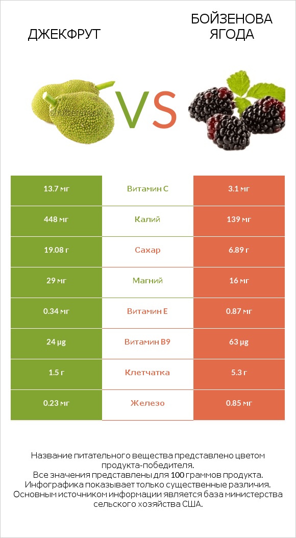 Джекфрут vs Бойзенова ягода infographic