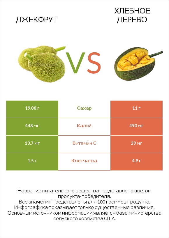 Джекфрут vs Хлебное дерево infographic