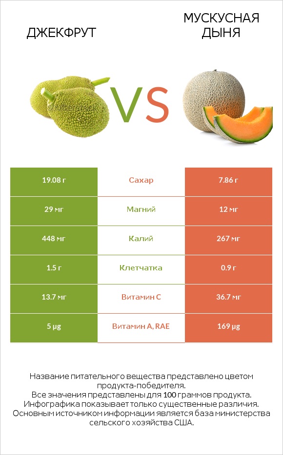 Джекфрут vs Мускусная дыня infographic