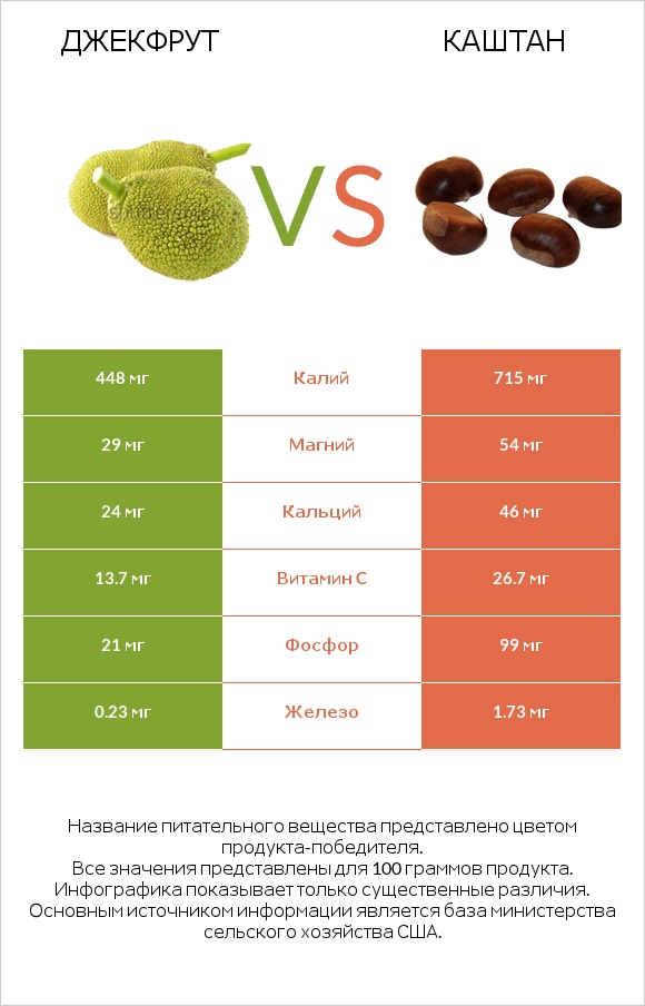Джекфрут vs Каштан infographic