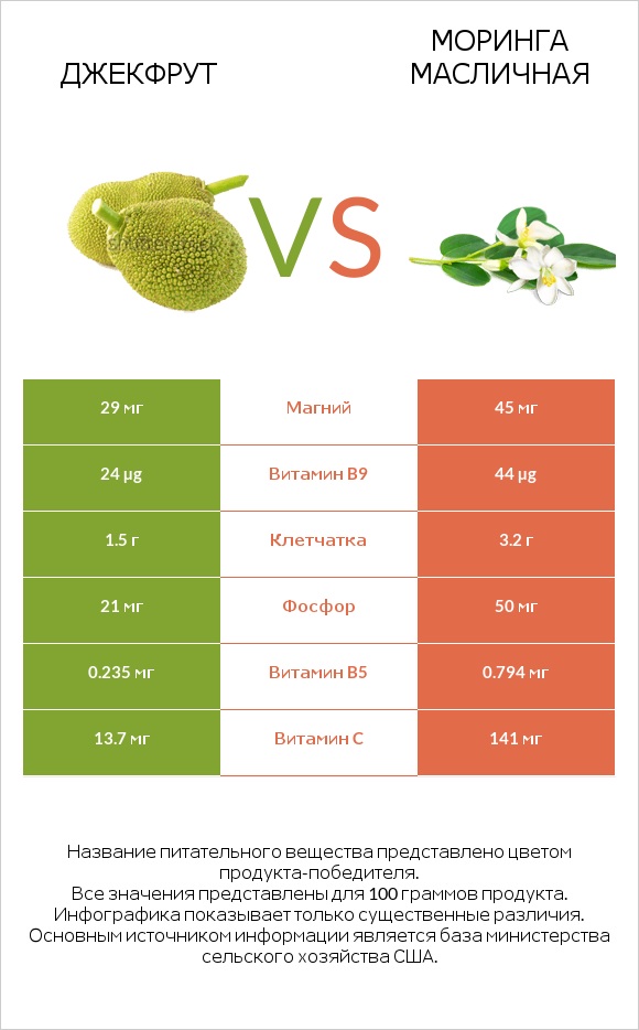 Джекфрут vs Моринга масличная infographic
