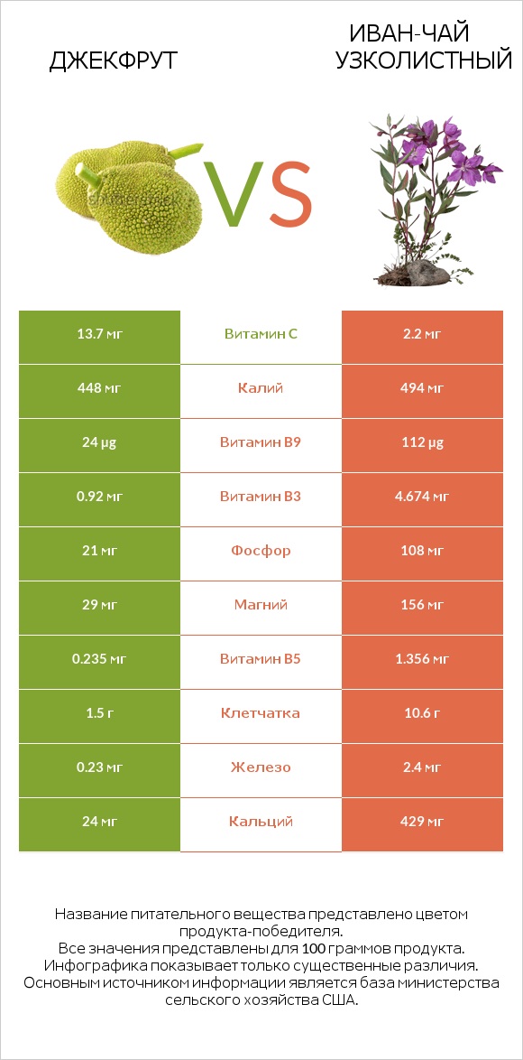 Джекфрут vs Иван-чай узколистный infographic