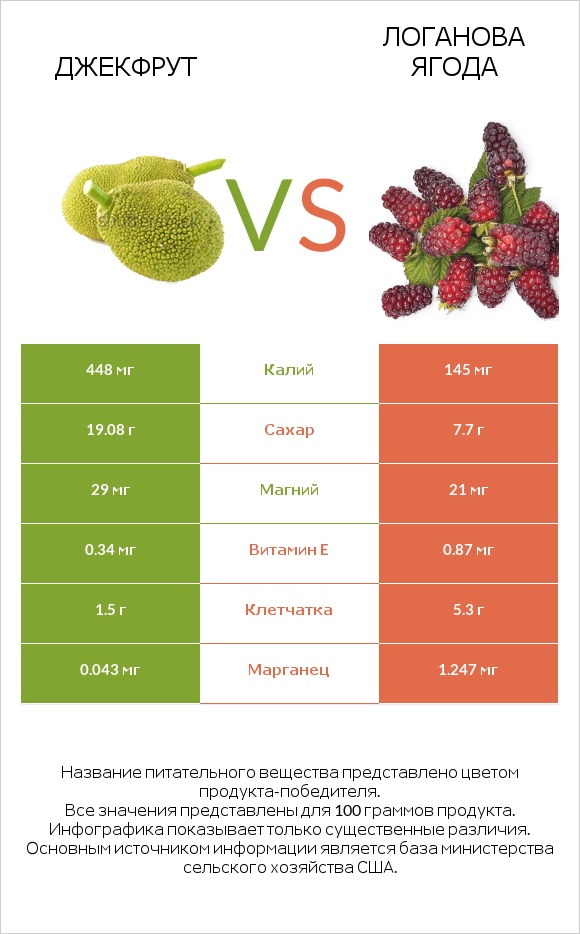 Джекфрут vs Логанова ягода infographic