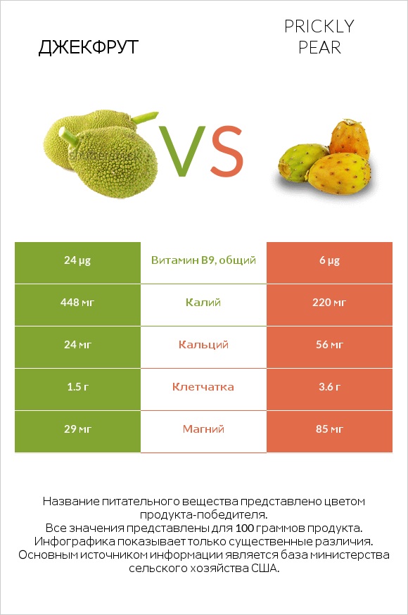 Джекфрут vs Prickly pear infographic