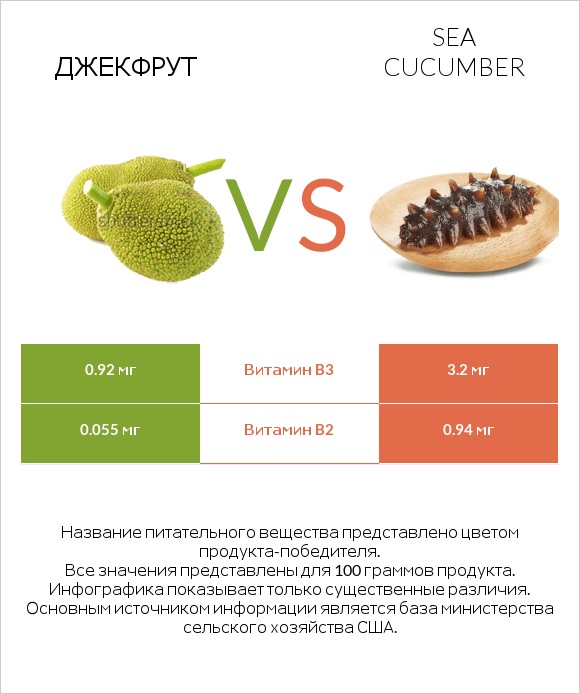 Джекфрут vs Sea cucumber infographic