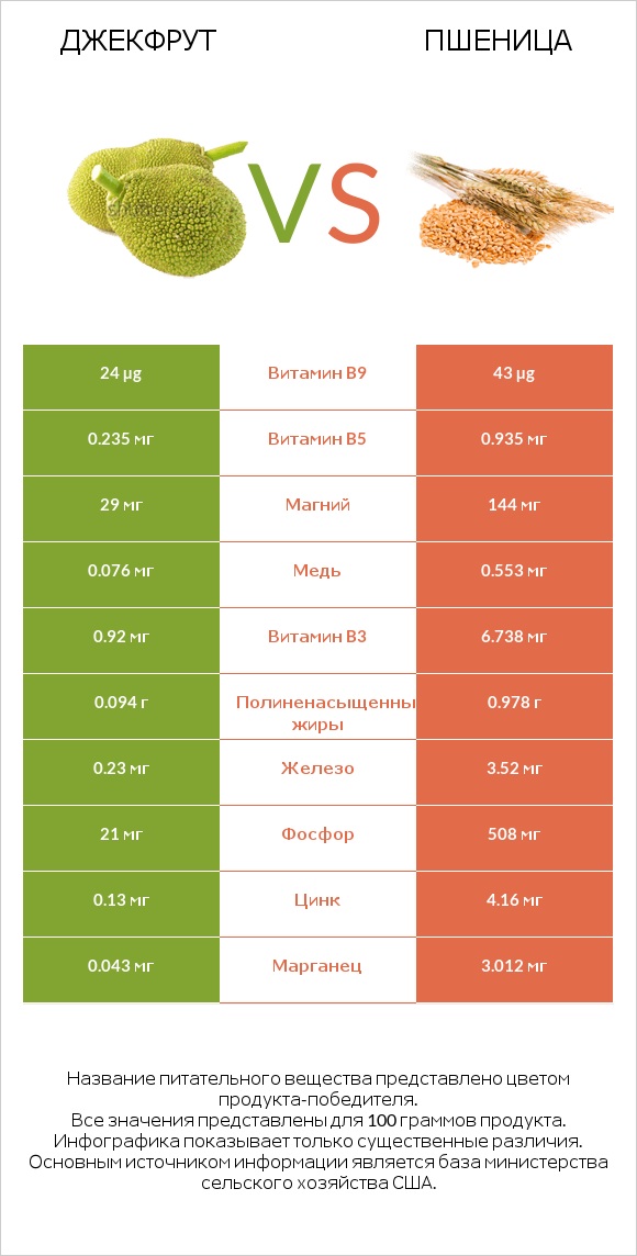 Джекфрут vs Пшеница infographic