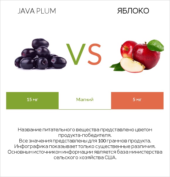 Java plum vs Яблоко infographic