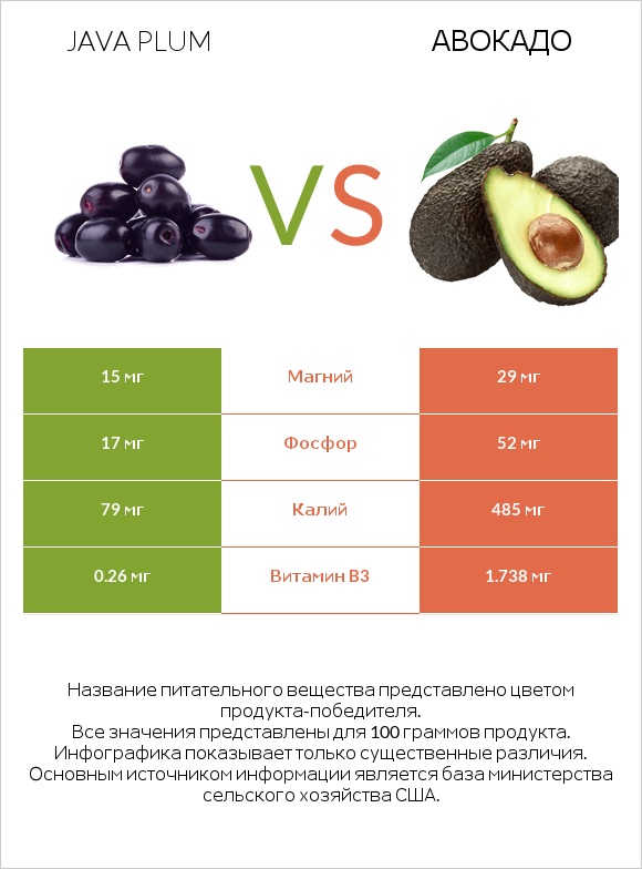 Java plum vs Авокадо infographic