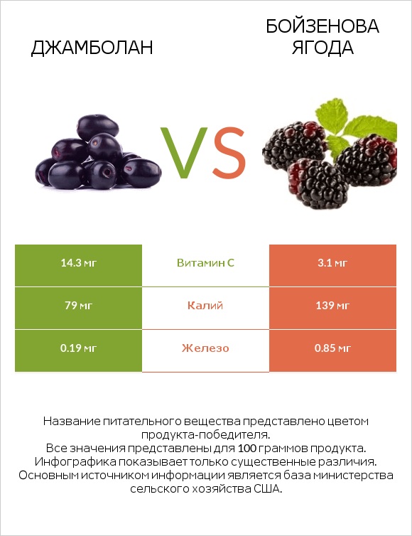 Джамболан vs Бойзенова ягода infographic