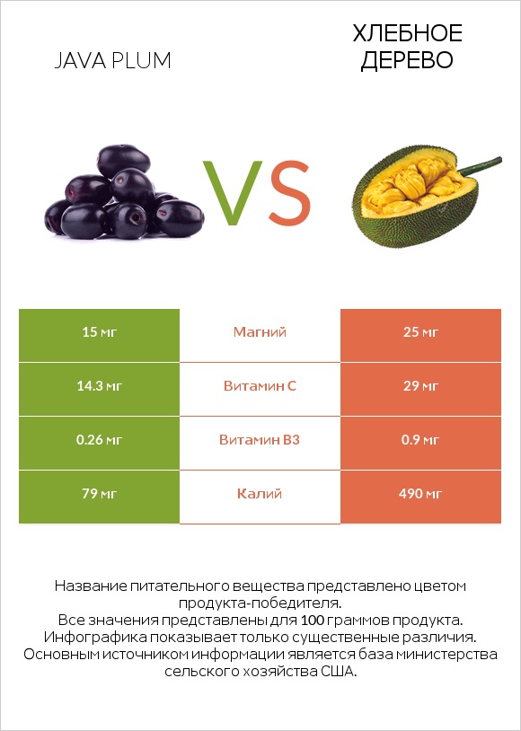 Java plum vs Хлебное дерево infographic