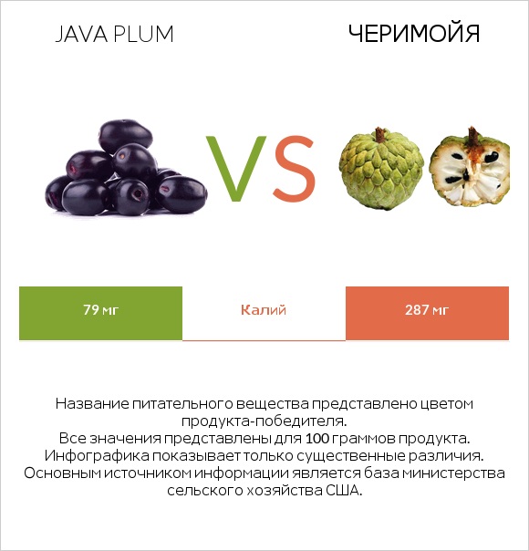 Java plum vs Черимойя infographic