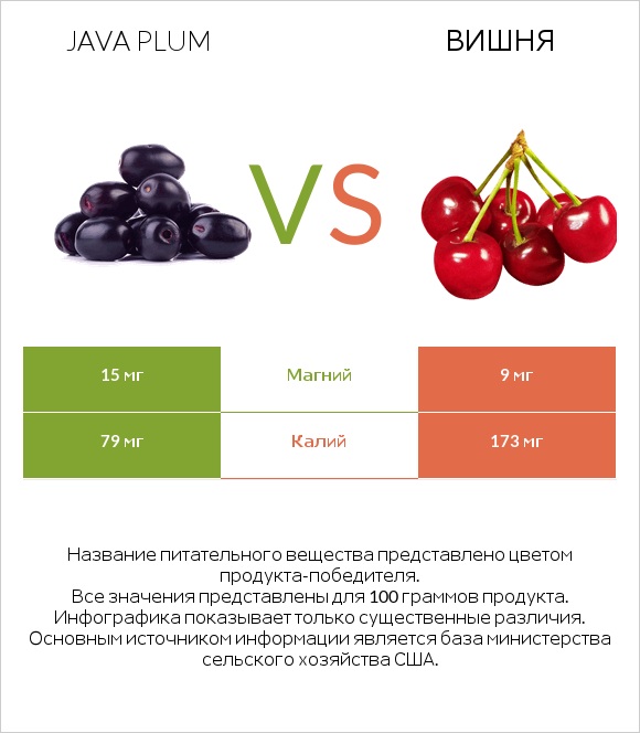 Java plum vs Вишня infographic