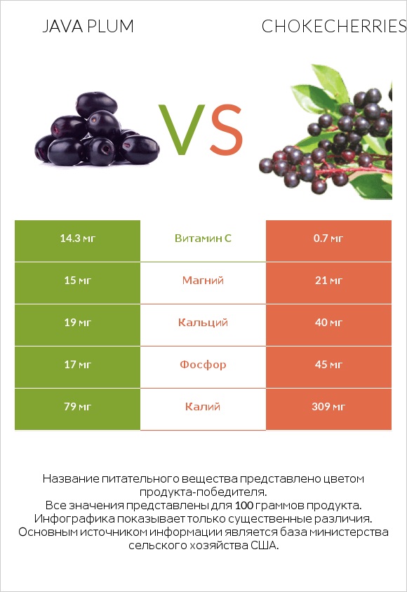 Java plum vs Chokecherries infographic