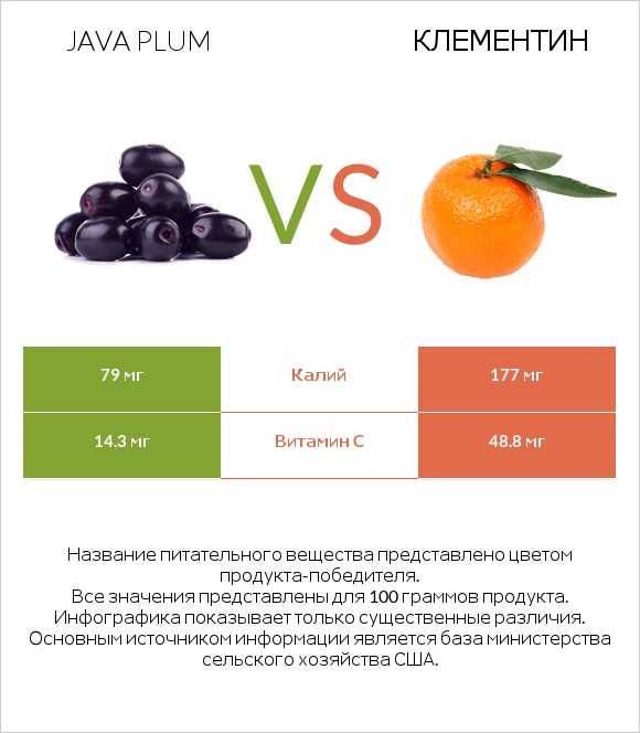Java plum vs Клементин infographic