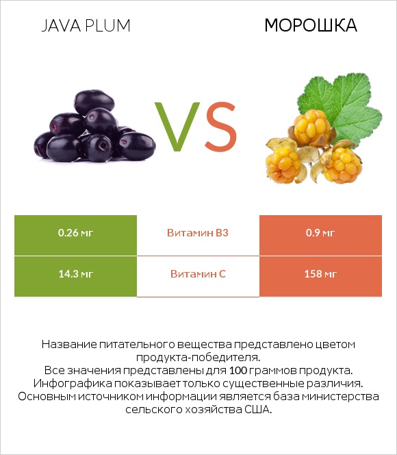 Java plum vs Морошка infographic