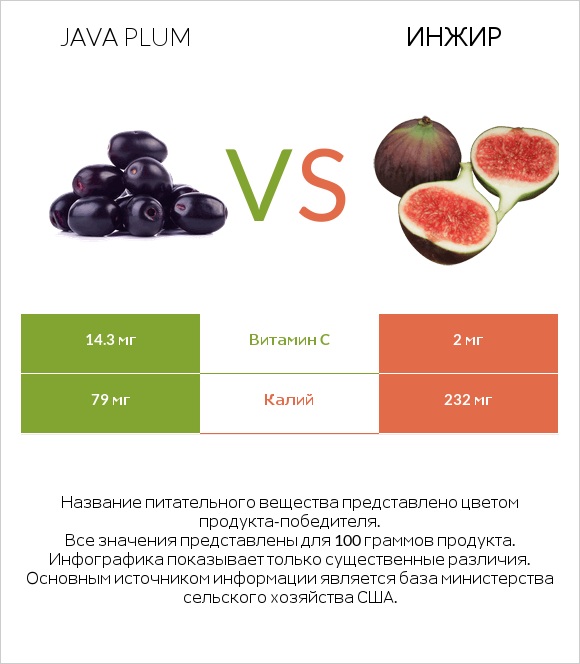 Java plum vs Инжир infographic