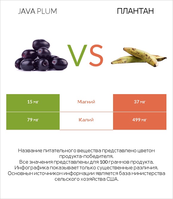 Java plum vs Плантан infographic