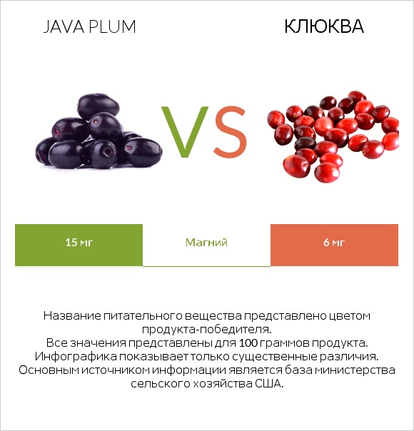 Java plum vs Клюква infographic