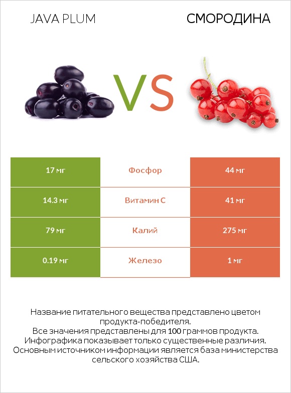 Java plum vs Смородина infographic