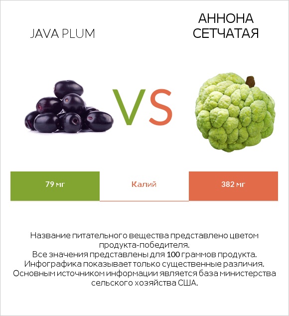 Java plum vs Аннона сетчатая infographic
