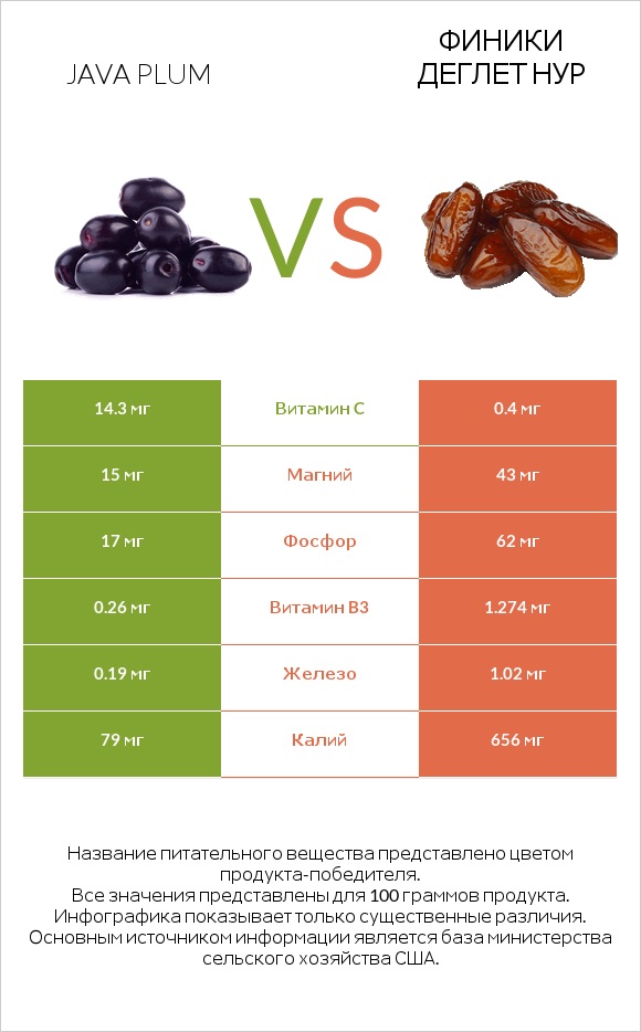 Java plum vs Финики деглет нур infographic