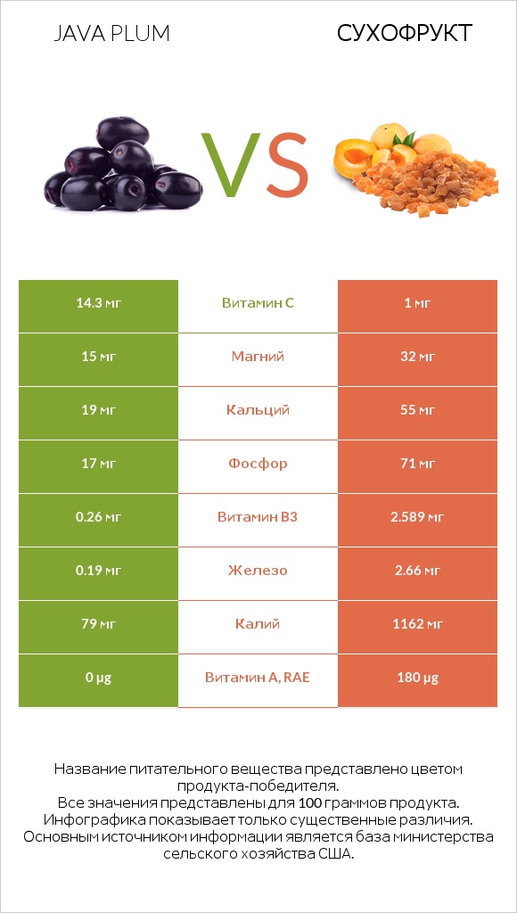 Java plum vs Сухофрукт infographic