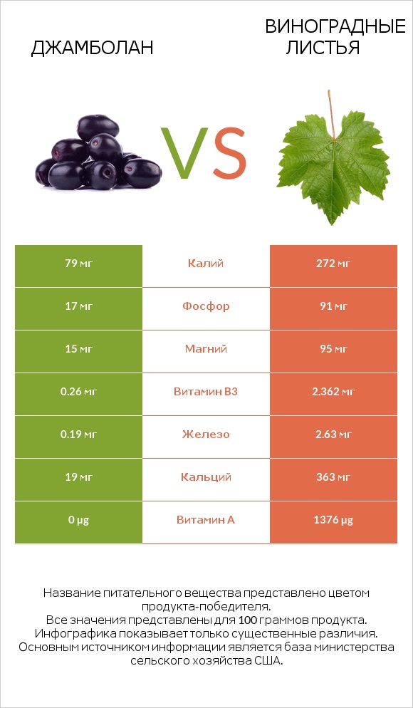 Джамболан vs Виноградные листья infographic