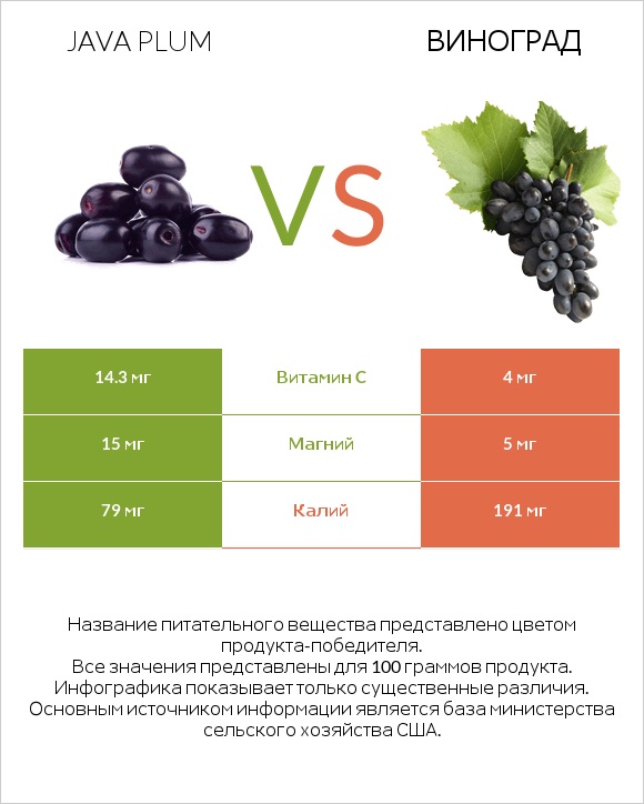 Java plum vs Виноград infographic