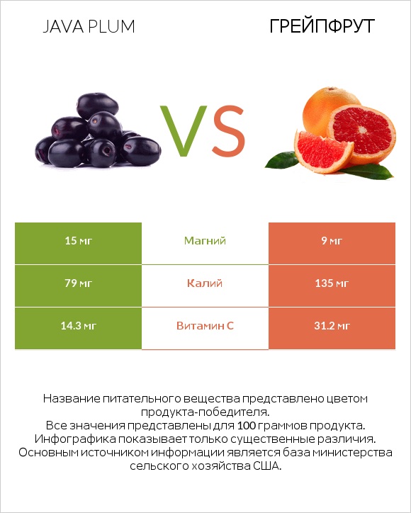 Java plum vs Грейпфрут infographic