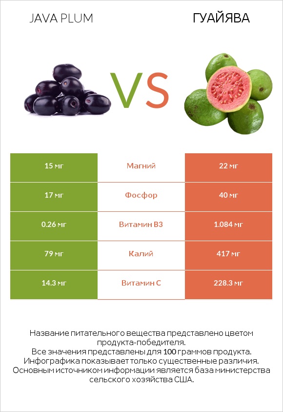 Java plum vs Гуайява infographic