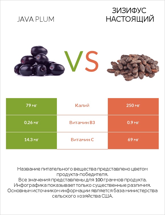 Java plum vs Зизифус настоящий infographic