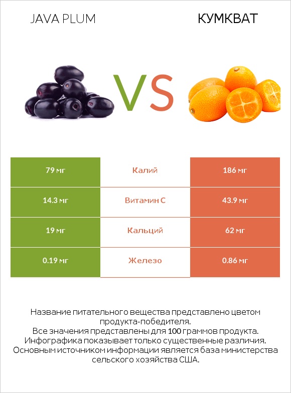 Java plum vs Кумкват infographic