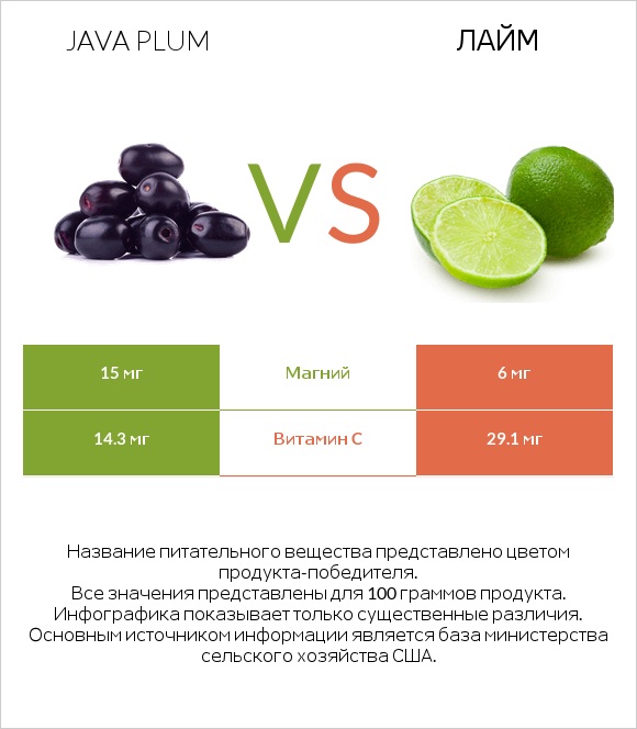 Java plum vs Лайм infographic