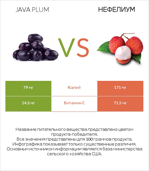 Java plum vs Нефелиум infographic