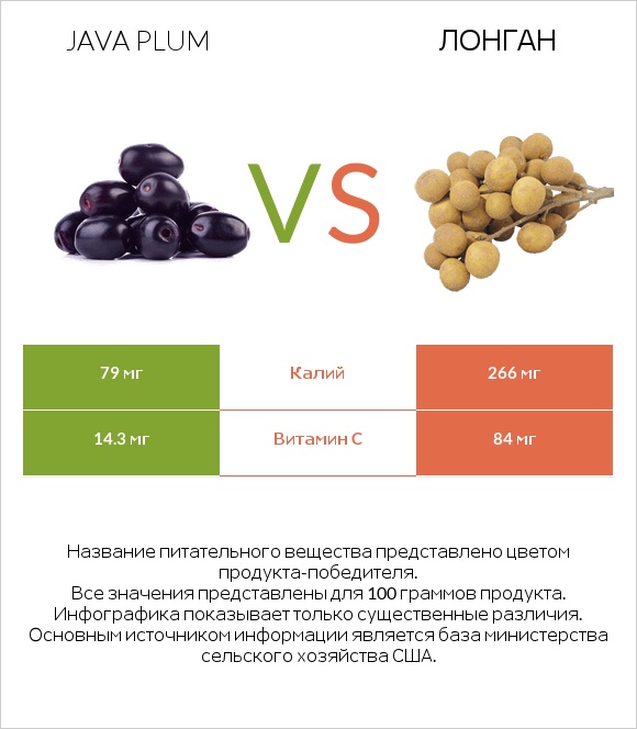 Java plum vs Лонган infographic